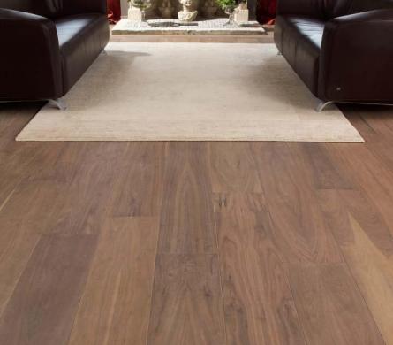 Habo Master Line -  American walnut 